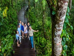 Kuranda Skyrail Rainforest Cableway Tickets